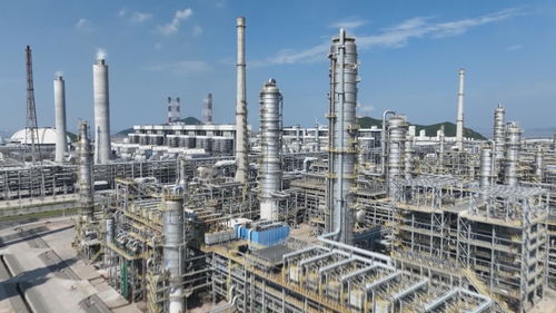 推進大宗商品資源配置樞紐建設 魚山島奮勇當先