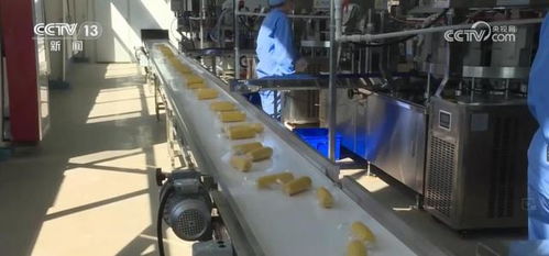 我國(guó)貿(mào)易伙伴多元共進(jìn) 便利化措施讓企業(yè)產(chǎn)品 出海 底氣足