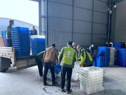 喜訊 全市目前規(guī)模最大 貨品最齊全 交通最便捷的農(nóng)特產(chǎn)品批發(fā)市場(chǎng)開(kāi)門(mén)營(yíng)業(yè)